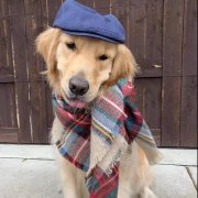 你就是那汪界網紅、弄潮兒?