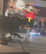 假如狗子能上網打字發圈，它會說... ?